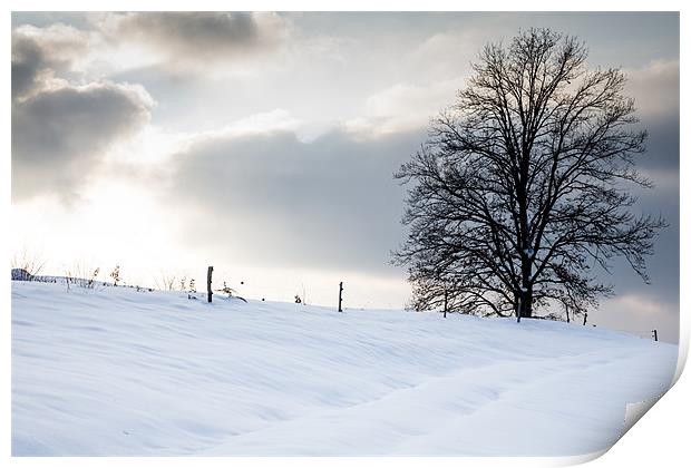 Winter Landscapes Print by Ian Middleton