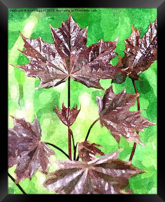 Forest foliage watercolour Framed Print by Brian  Raggatt