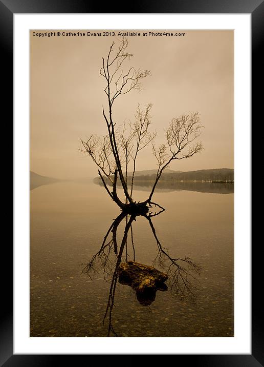 Lone Tree on Coniston #2 Framed Mounted Print by Catherine Fowler