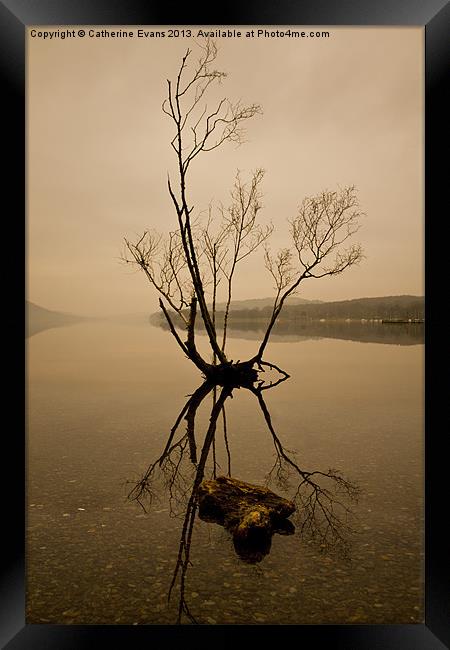 Lone Tree on Coniston #2 Framed Print by Catherine Fowler