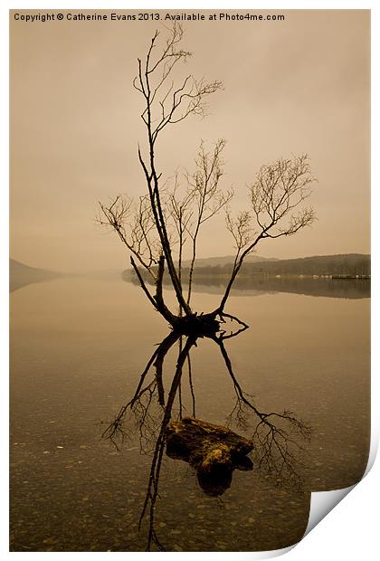 Lone Tree on Coniston #2 Print by Catherine Fowler