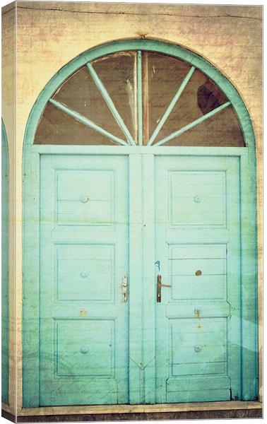 Vintage door Canvas Print by Michael Marker