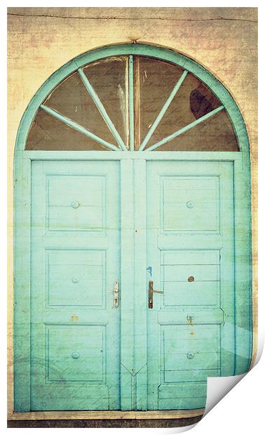 Vintage door Print by Michael Marker