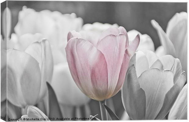 Hint of Pink Canvas Print by Michelle Orai
