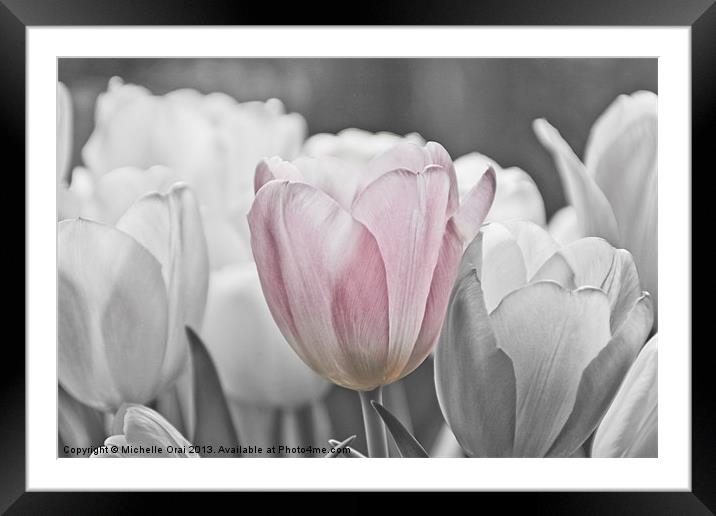 Hint of Pink Framed Mounted Print by Michelle Orai