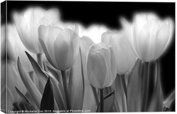 Glowing Tulips Canvas Print by Michelle Orai