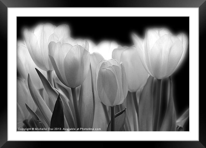 Glowing Tulips Framed Mounted Print by Michelle Orai