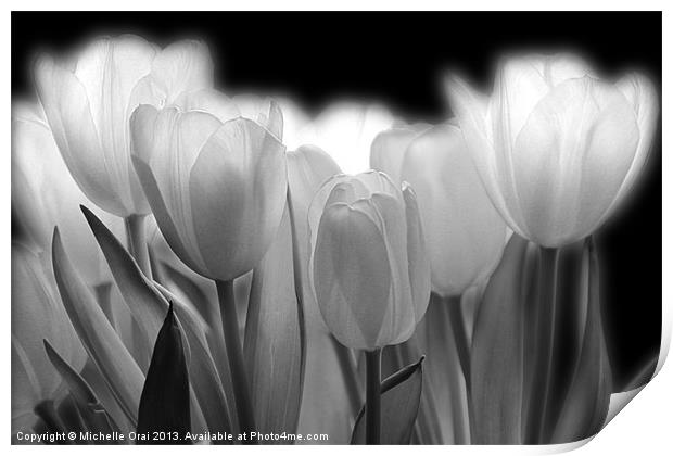 Glowing Tulips Print by Michelle Orai