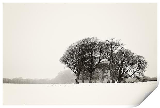 Snowfall Print by Michael Marker