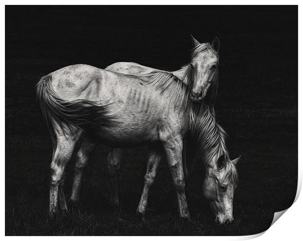 Wild Horses Print by heather rivet