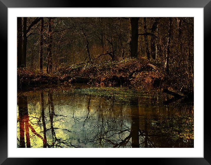 Mystic Lake Framed Mounted Print by Dawn Cox