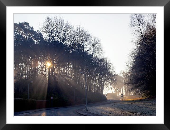 Sunlight through the trees Framed Mounted Print by Simon West