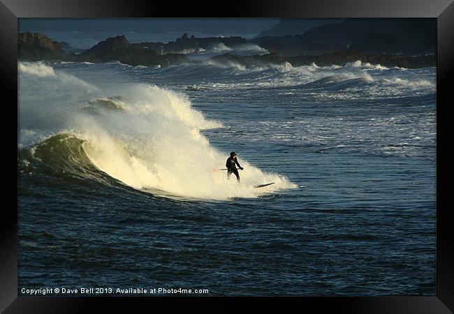 Winter Paddle Boarding at Bude North Cornwall UK Framed Print by Dave Bell
