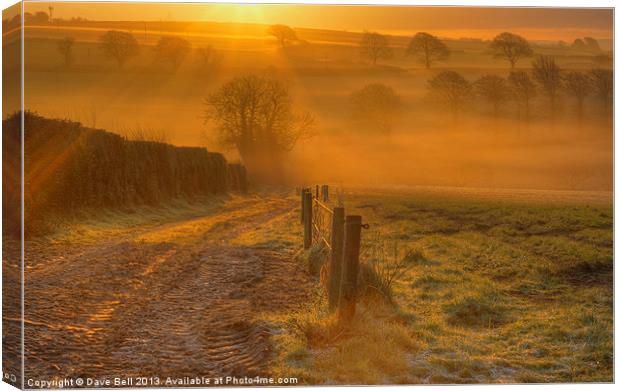 The First Rays Of Morning Canvas Print by Dave Bell