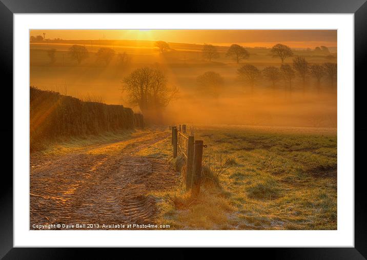 The First Rays Of Morning Framed Mounted Print by Dave Bell
