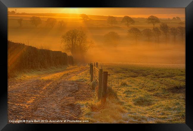 The First Rays Of Morning Framed Print by Dave Bell