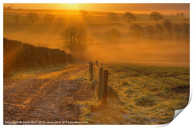 The First Rays Of Morning Print by Dave Bell