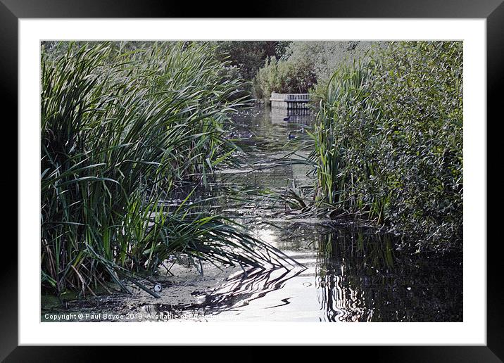 Nature Reserve In The Park Framed Mounted Print by Paul Boyce