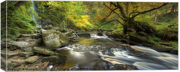 Mallyan Spout and West Beck Canvas Print by Martin Williams