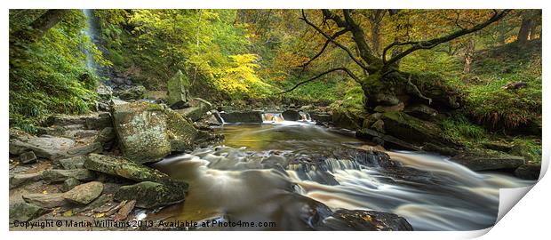 Mallyan Spout and West Beck Print by Martin Williams