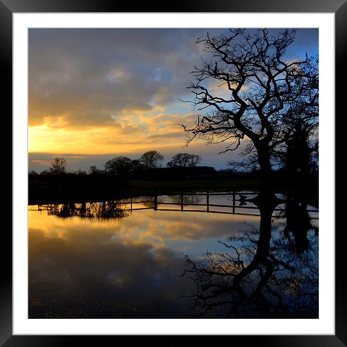 Silhouette Flooding Reflection Framed Mounted Print by Shaun Cope