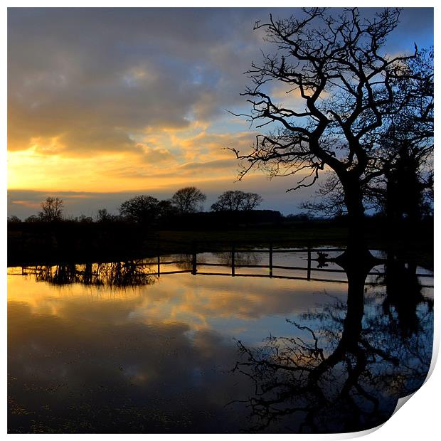 Silhouette Flooding Reflection Print by Shaun Cope