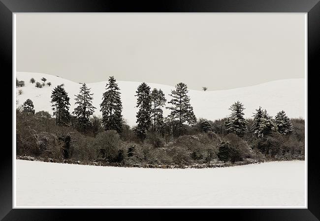 North Chilterns Snowscape Framed Print by paolo d sharp
