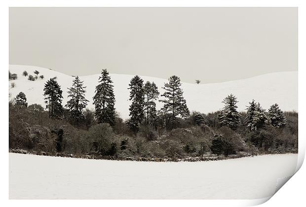 North Chilterns Snowscape Print by paolo d sharp