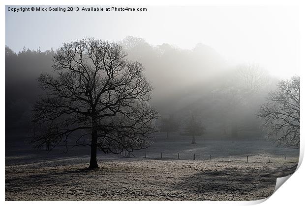 Foggy Morning Tree Print by RSRD Images 