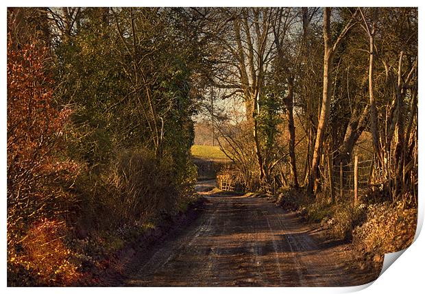 An English Country Lane Print by Dawn Cox