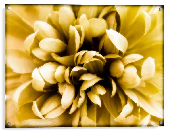 Artificial Flower Acrylic by Mark Llewellyn