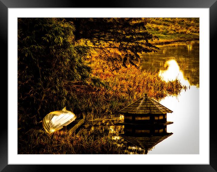Duck House Framed Mounted Print by Mark Llewellyn