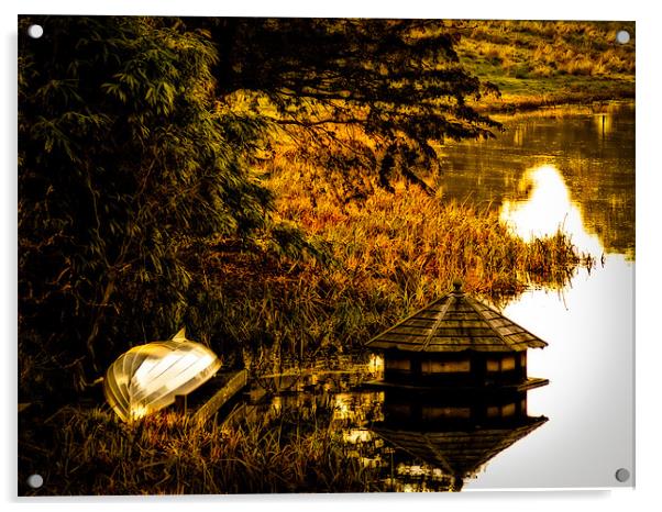 Duck House Acrylic by Mark Llewellyn