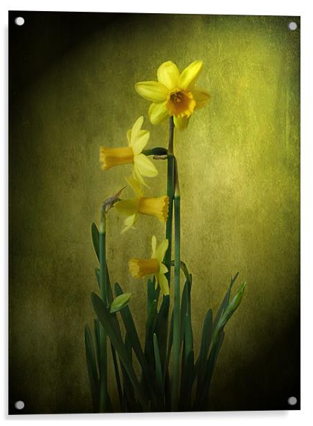 Daffodils. Acrylic by Debra Kelday