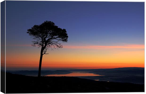 First light Canvas Print by Macrae Images