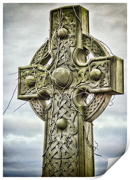 Viney Cross Print by Fraser Hetherington
