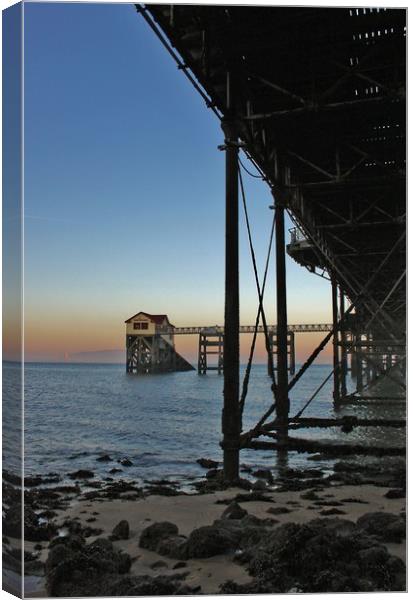 Under the Pier 1. Canvas Print by Becky Dix