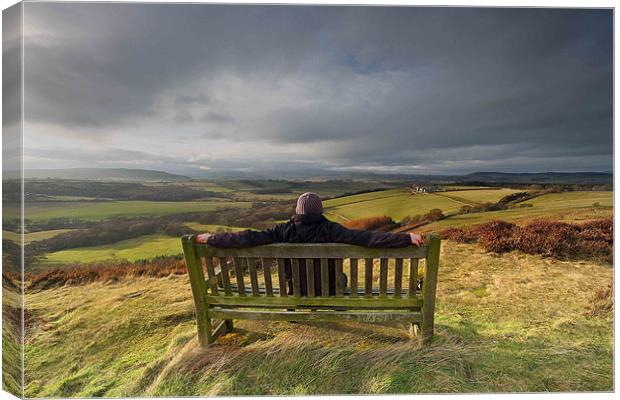 Gods Country Canvas Print by Neil Coleran