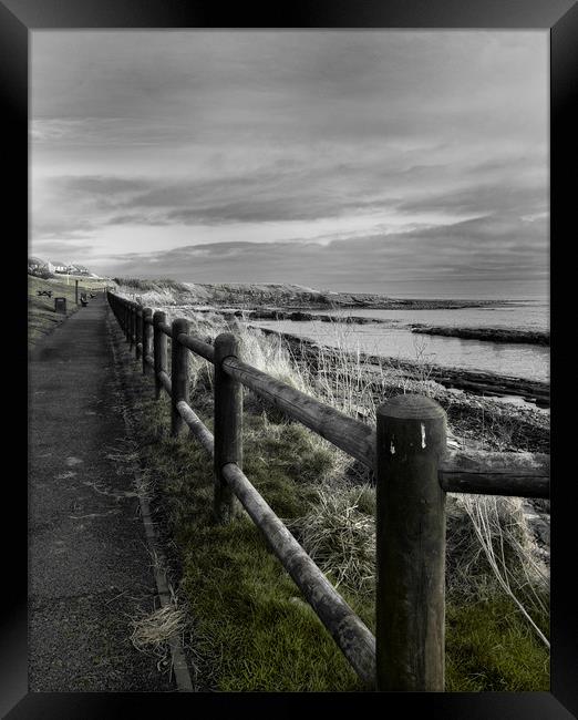 Seaside Path Framed Print by Fraser Hetherington