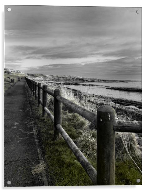 Seaside Path Acrylic by Fraser Hetherington
