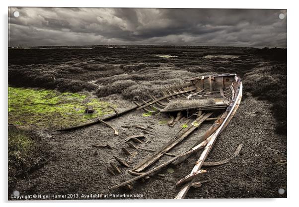 Naked Lady Acrylic by Wight Landscapes