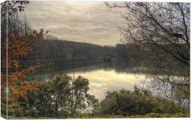 Reservoir in Derbyshire Canvas Print by Libby Hall