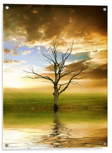 Sunset tree Acrylic by Sharon Lisa Clarke