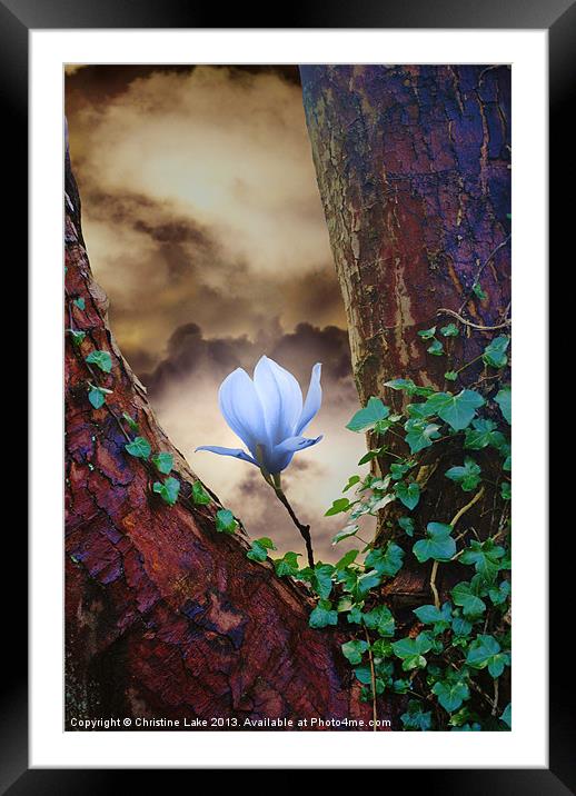 A Glow in Stormy Weather. Framed Mounted Print by Christine Lake