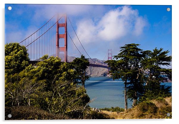 Golden Gate Bridge, San Francisco, California, USA Acrylic by Mark Llewellyn