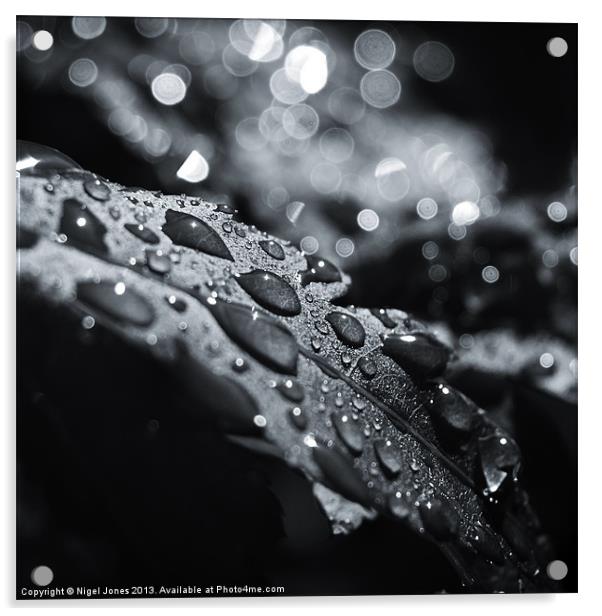 After the Rain Acrylic by Nigel Jones