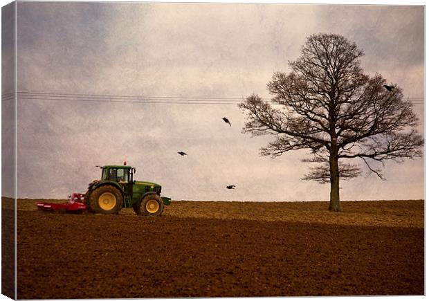 ploughing the field Canvas Print by Dawn Cox