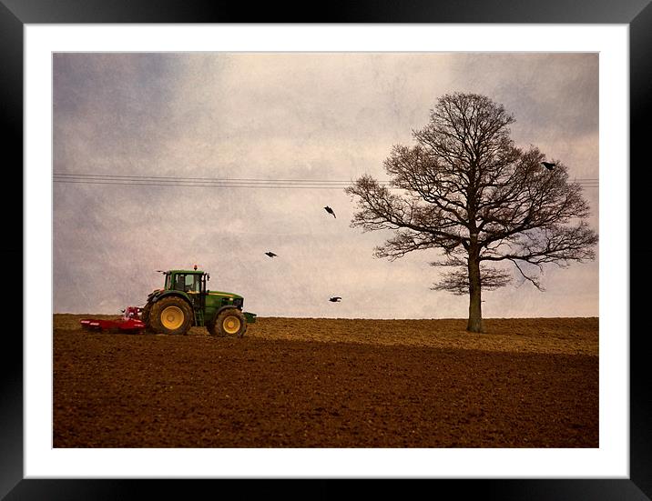 ploughing the field Framed Mounted Print by Dawn Cox