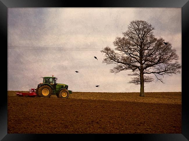 ploughing the field Framed Print by Dawn Cox