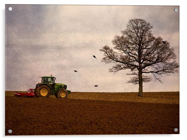 ploughing the field Acrylic by Dawn Cox